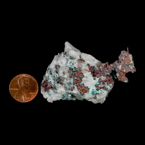 2.5" Rough Native Copper On Crystal Quartz Matrix Mineral Specimen Morocco - Fossil Age Minerals