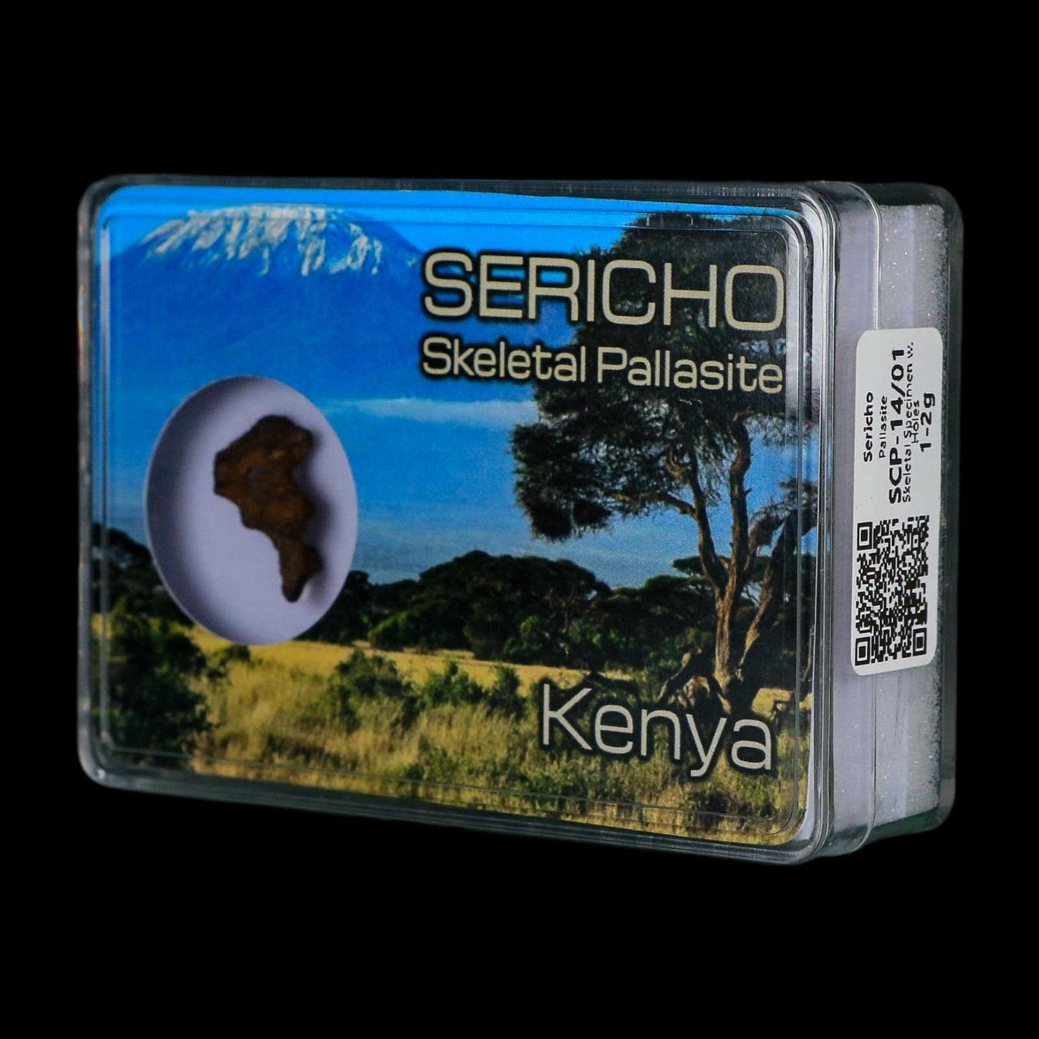 Sericho Stony Iron Pallasite Meteorite Kenya, Africa Found 2016 Display 1.47 Gram - Fossil Age Minerals