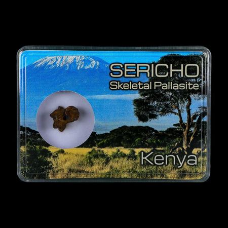 Sericho Stony Iron Pallasite Meteorite Kenya, Africa Found 2016 Display 1.85 Gram
