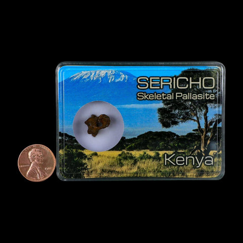 Sericho Stony Iron Pallasite Meteorite Kenya, Africa Found 2016 Display 1.85 Gram - Fossil Age Minerals
