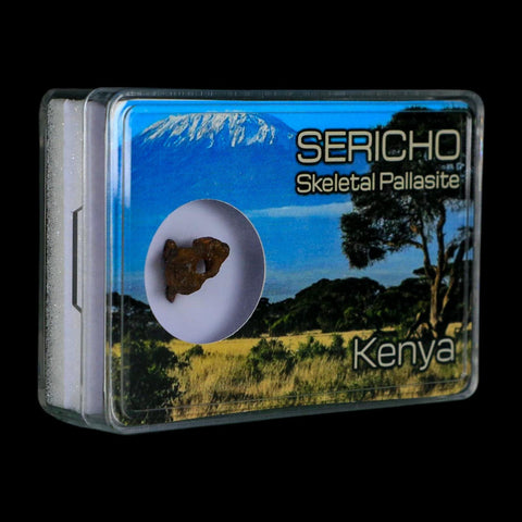 Sericho Stony Iron Pallasite Meteorite Kenya, Africa Found 2016 Display 1.85 Gram - Fossil Age Minerals