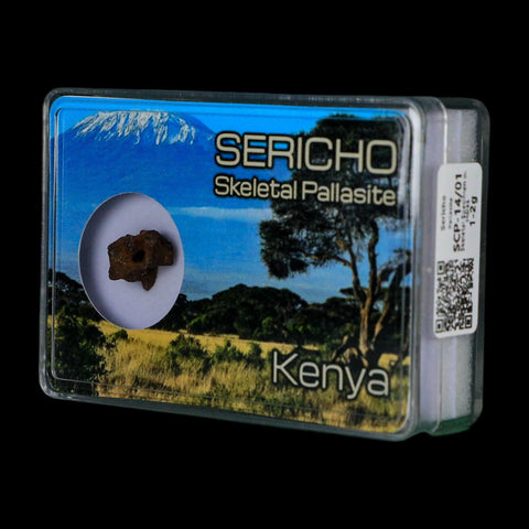 Sericho Stony Iron Pallasite Meteorite Kenya, Africa Found 2016 Display 1.85 Gram - Fossil Age Minerals