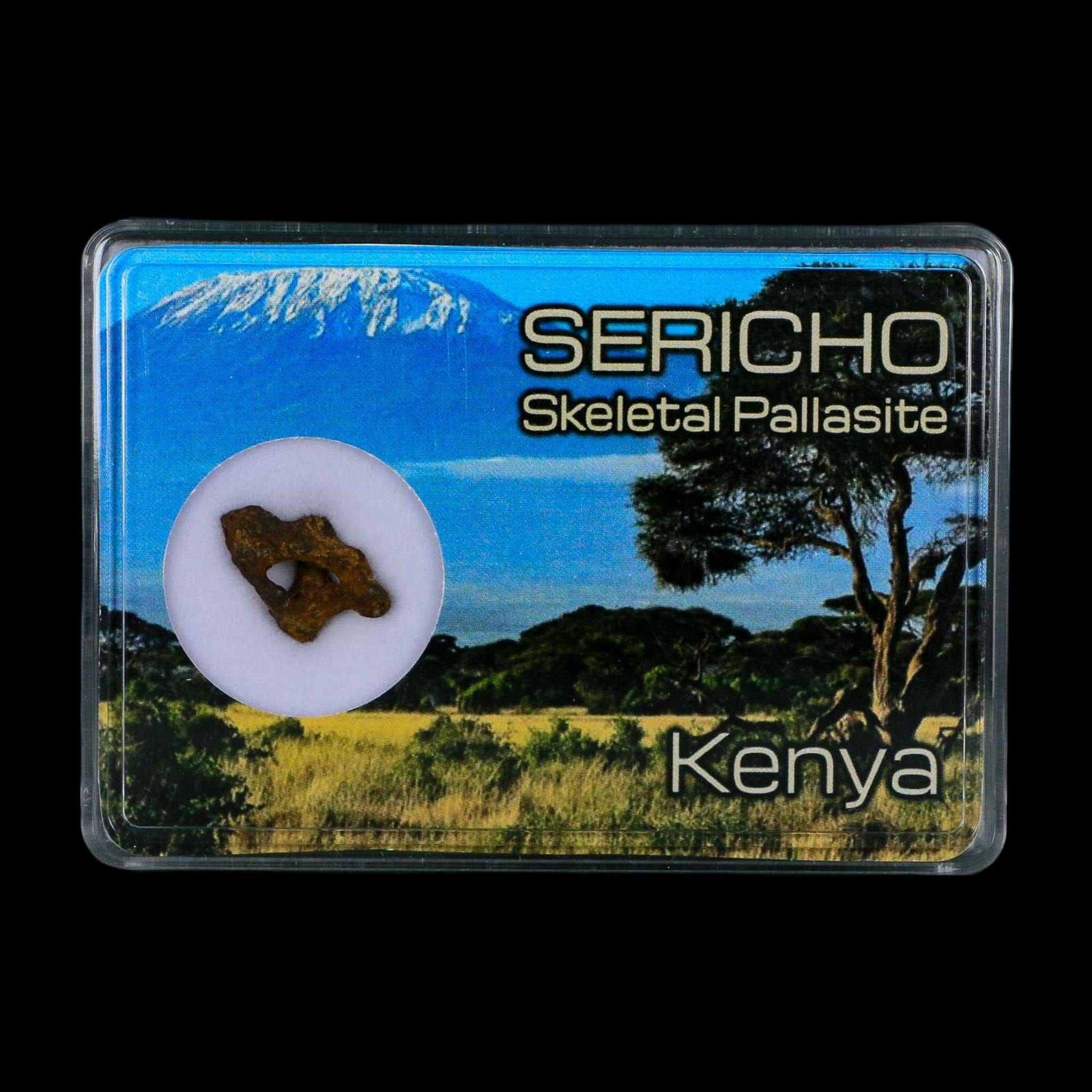 Sericho Stony Iron Pallasite Meteorite Kenya, Africa Found 2016 Display 1.30 Gram - Fossil Age Minerals
