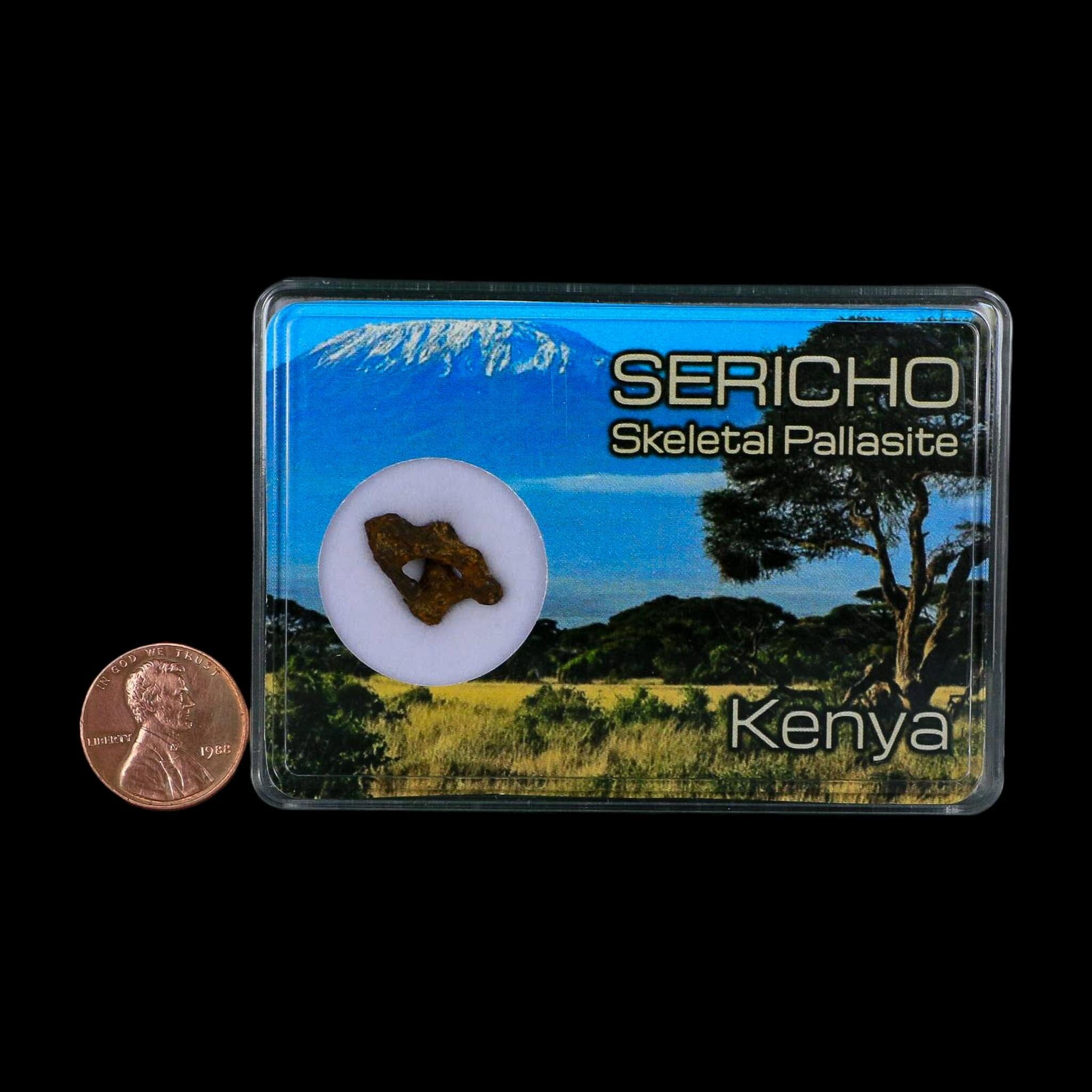 Sericho Stony Iron Pallasite Meteorite Kenya, Africa Found 2016 Display 1.30 Gram - Fossil Age Minerals