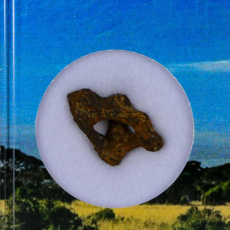 Sericho Stony Iron Pallasite Meteorite Kenya, Africa Found 2016 Display 1.30 Gram