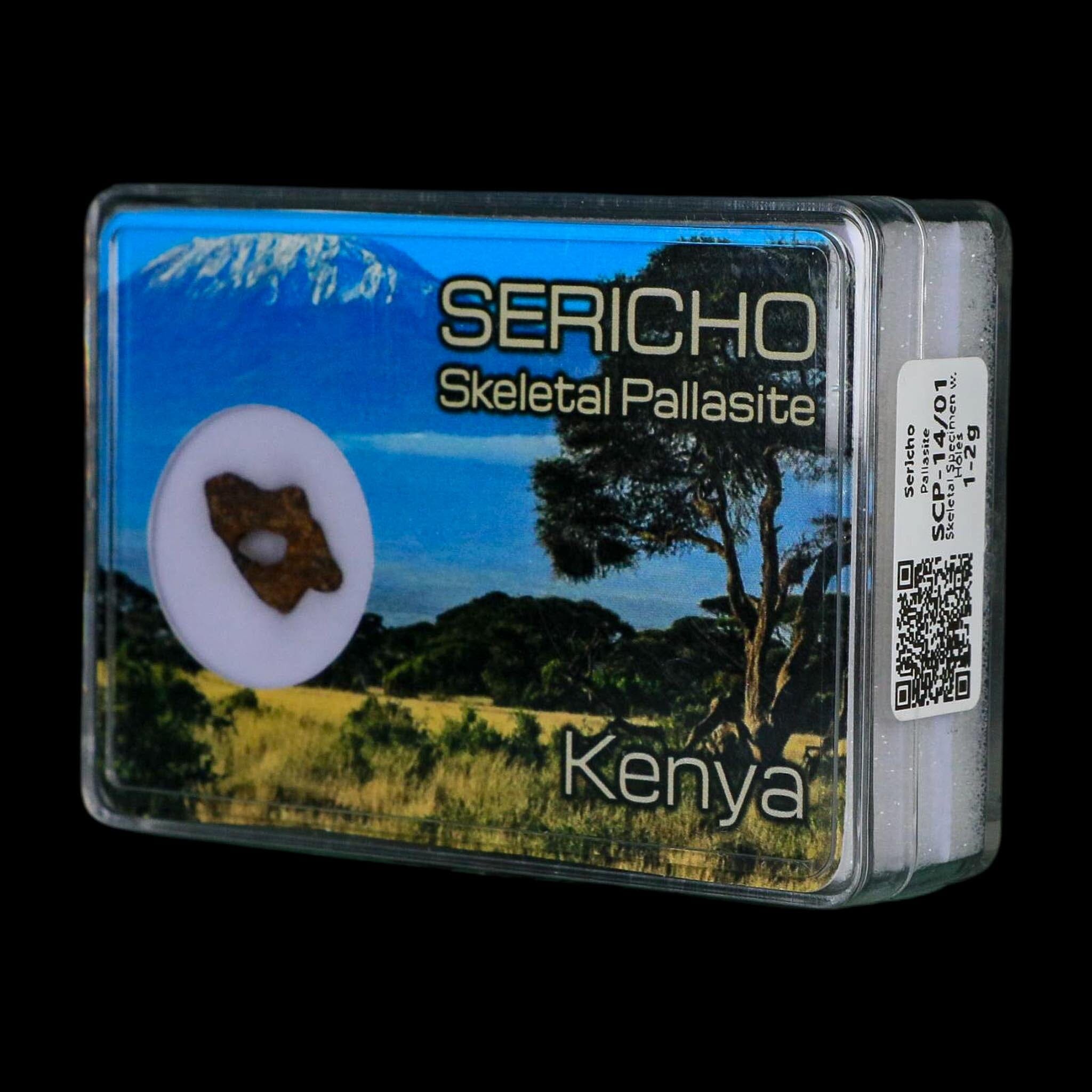 Sericho Stony Iron Pallasite Meteorite Kenya, Africa Found 2016 Display 1.30 Gram - Fossil Age Minerals