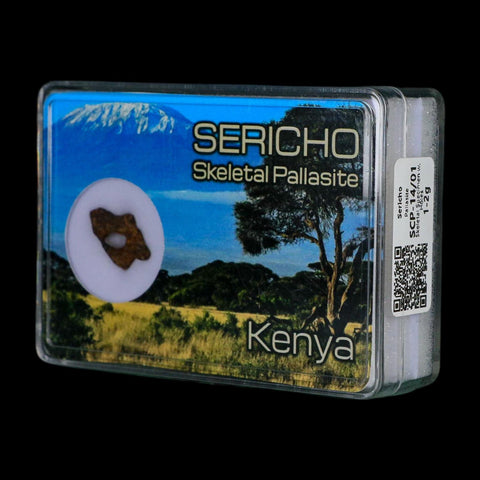 Sericho Stony Iron Pallasite Meteorite Kenya, Africa Found 2016 Display 1.30 Gram - Fossil Age Minerals