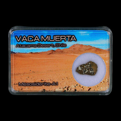 Vaca Muerta Meteorite Mesosiderite-A1 Chile, South America Meteorites Display
