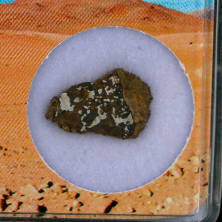 Vaca Muerta Meteorite Mesosiderite-A1 Chile, South America Meteorites Display
