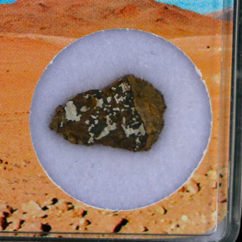 Vaca Muerta Meteorite Mesosiderite-A1 Chile, South America Meteorites Display - Fossil Age Minerals