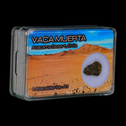 Vaca Muerta Meteorite Mesosiderite-A1 Chile, South America Meteorites Display - Fossil Age Minerals