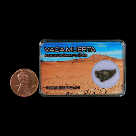 Vaca Muerta Meteorite Mesosiderite-A1 Chile, South America Meteorites Display - Fossil Age Minerals