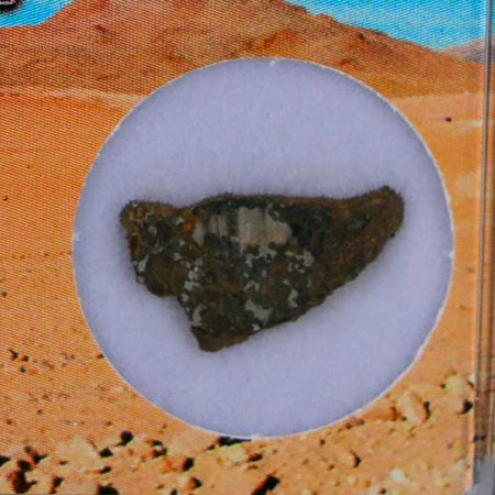 Vaca Muerta Meteorite Mesosiderite-A1 Chile, South America Meteorites Display