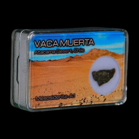 Vaca Muerta Meteorite Mesosiderite-A1 Chile, South America Meteorites Display - Fossil Age Minerals