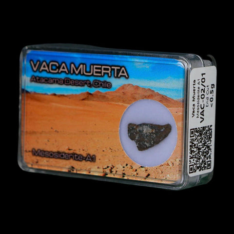 Vaca Muerta Meteorite Mesosiderite-A1 Chile, South America Meteorites Display - Fossil Age Minerals