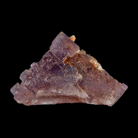 2.1" Purple Fluorite Crystal Cube Cluster Mineral Specimen Taourirt Morocco - Fossil Age Minerals