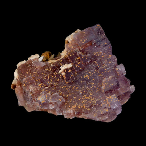 2.1" Purple Fluorite Crystal Cube Cluster Mineral Specimen Taourirt Morocco - Fossil Age Minerals