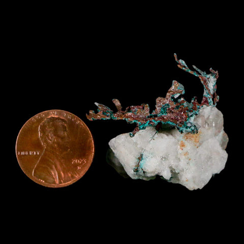 1.5" Rough Native Copper On Crystal Quartz Matrix Mineral Specimen Morocco - Fossil Age Minerals