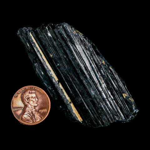 2.5" Natural Rough Black Tourmaline Mineral Crystal Specimen Schorl Brazil - Fossil Age Minerals