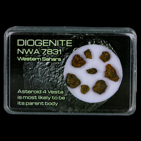 Diogenite Meteorites Asteroid 4 Vesta Specimen NMW 7831 Western Sahara Display - Fossil Age Minerals
