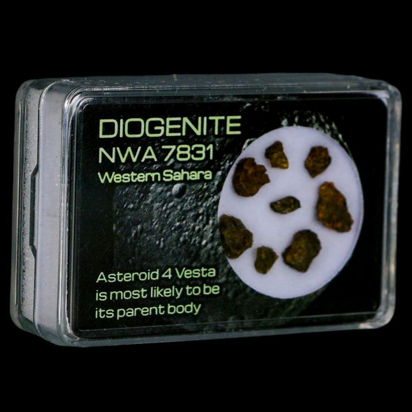 Diogenite Meteorites Asteroid 4 Vesta Specimen NMW 7831 Western Sahara Display