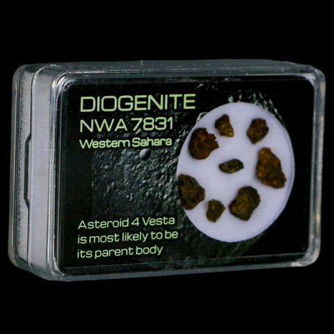Diogenite Meteorites Asteroid 4 Vesta Specimen NMW 7831 Western Sahara Display - Fossil Age Minerals