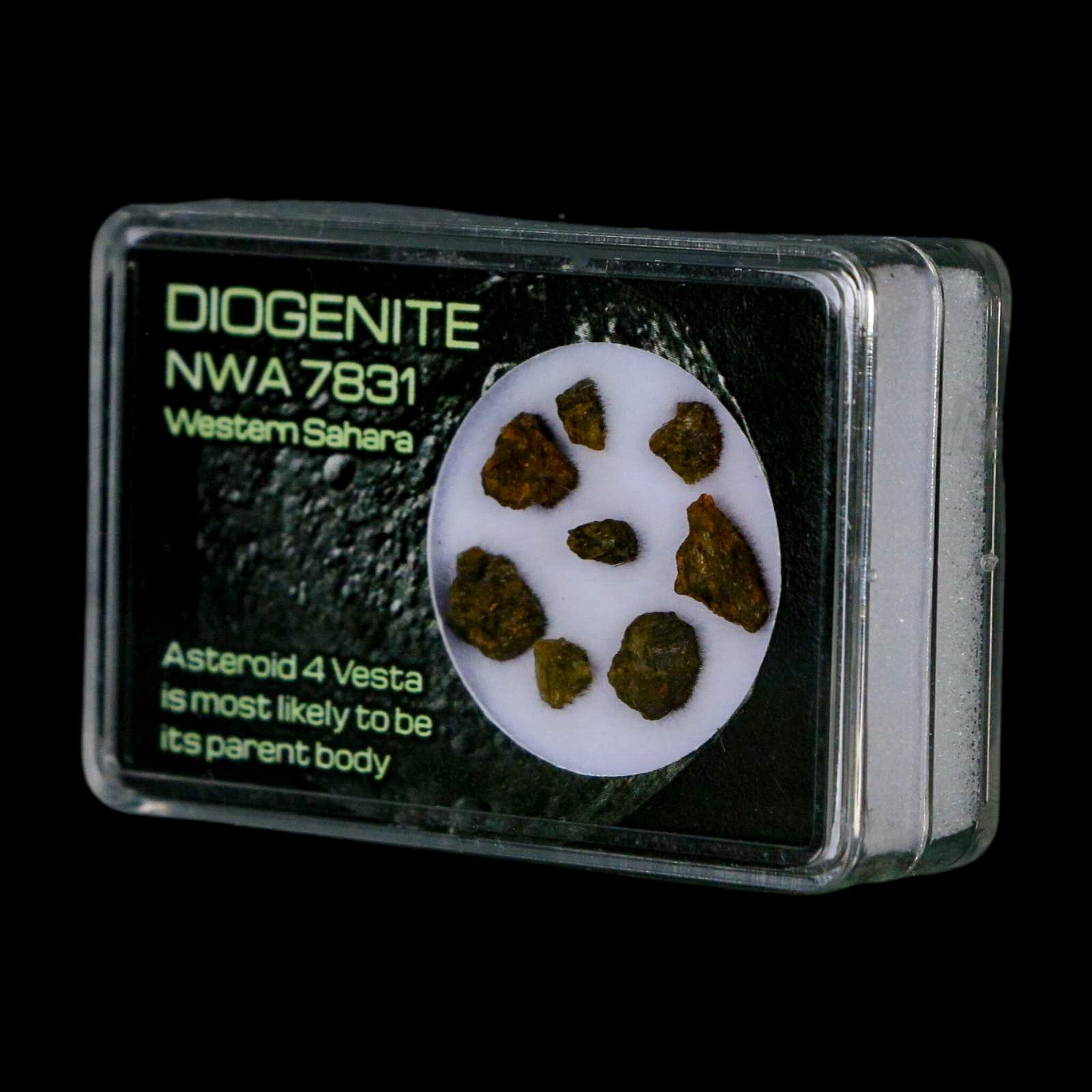 Diogenite Meteorites Asteroid 4 Vesta Specimen NMW 7831 Western Sahara Display - Fossil Age Minerals