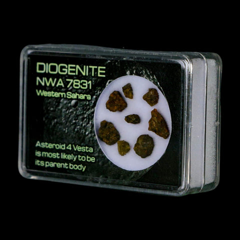 Diogenite Meteorites Asteroid 4 Vesta Specimen NMW 7831 Western Sahara Display - Fossil Age Minerals