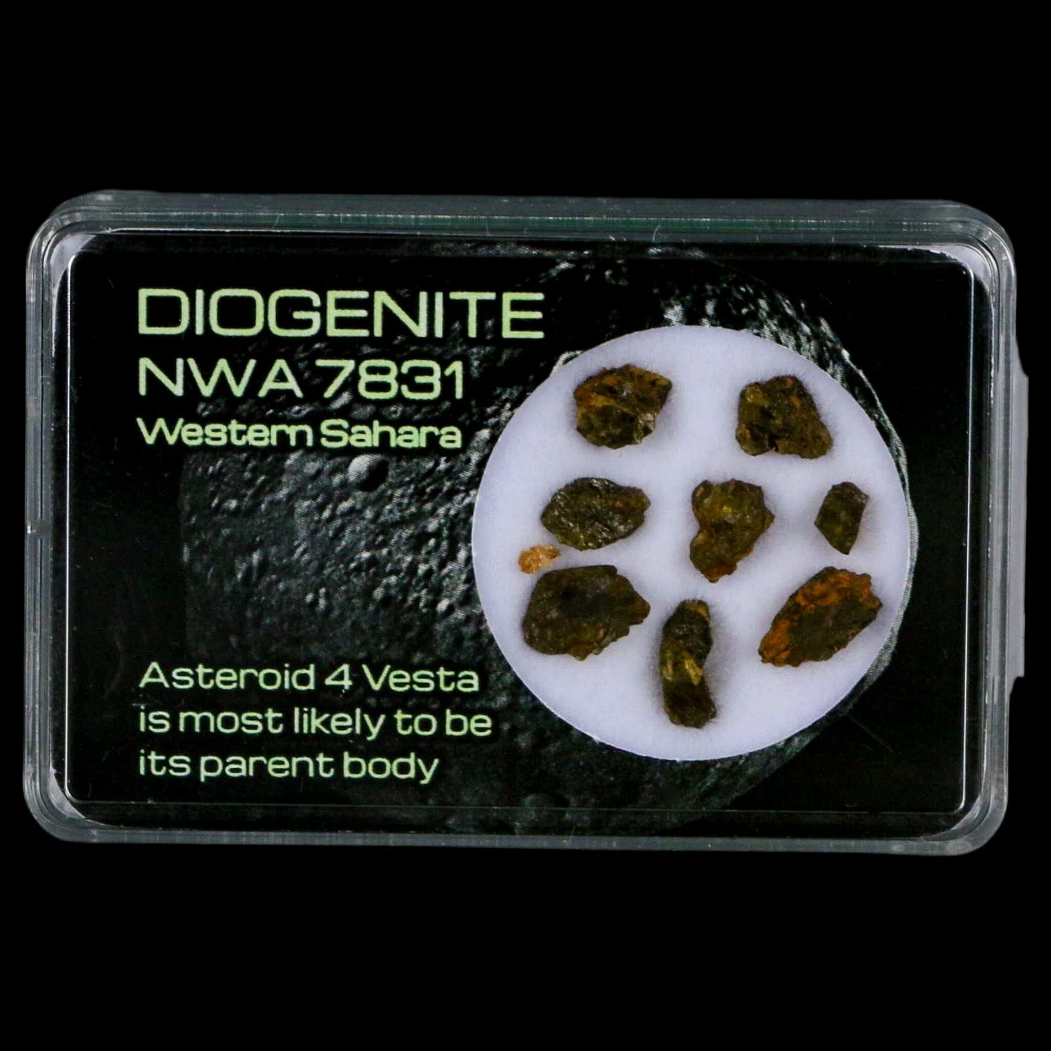 Diogenite Meteorites Asteroid 4 Vesta Specimen NMW 7831 Western Sahara Display - Fossil Age Minerals