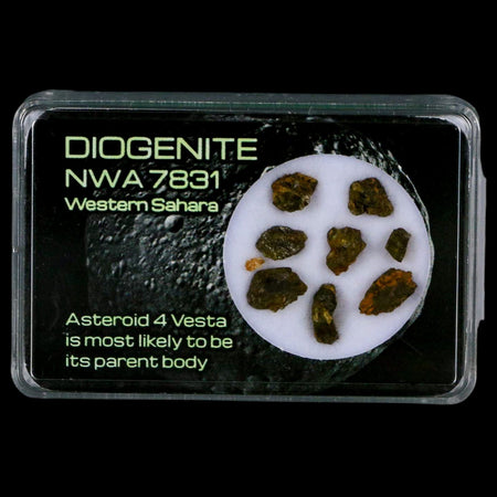 Diogenite Meteorites Asteroid 4 Vesta Specimen NMW 7831 Western Sahara Display