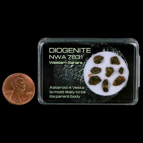 Diogenite Meteorites Asteroid 4 Vesta Specimen NMW 7831 Western Sahara Display - Fossil Age Minerals