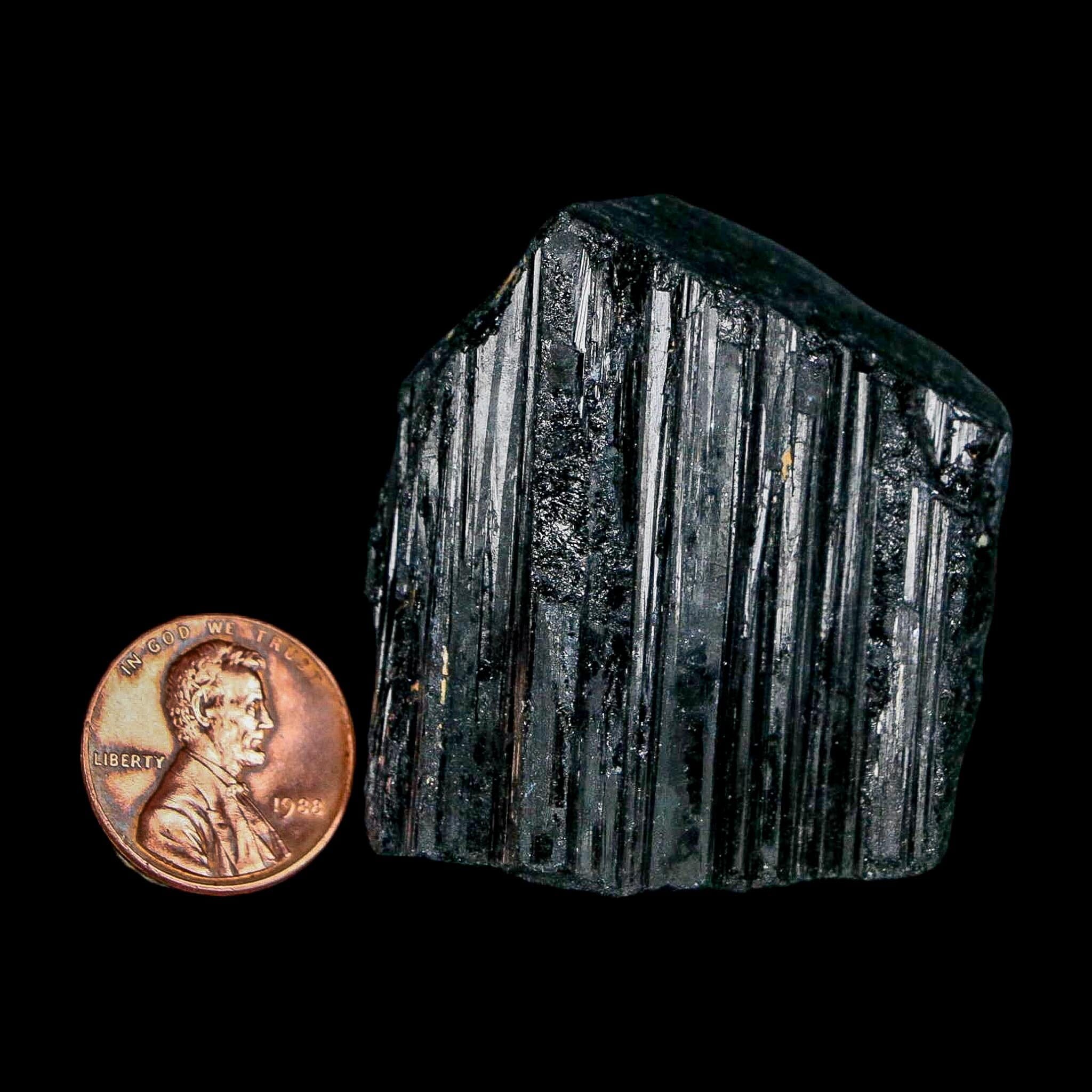 1.8" Natural Rough Black Tourmaline Mineral Crystal Specimen Schorl Brazil - Fossil Age Minerals