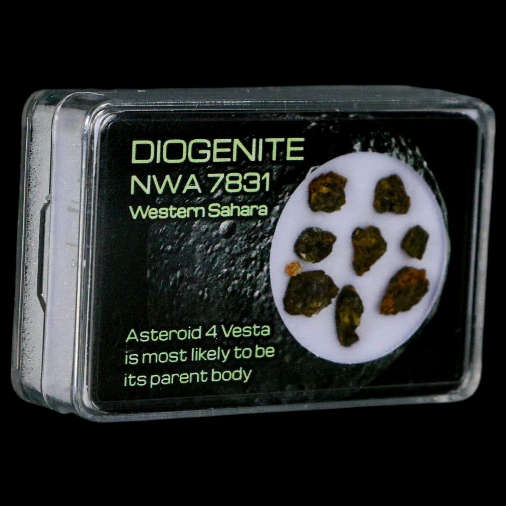 Diogenite Meteorites Asteroid 4 Vesta Specimen NMW 7831 Western Sahara Display - Fossil Age Minerals