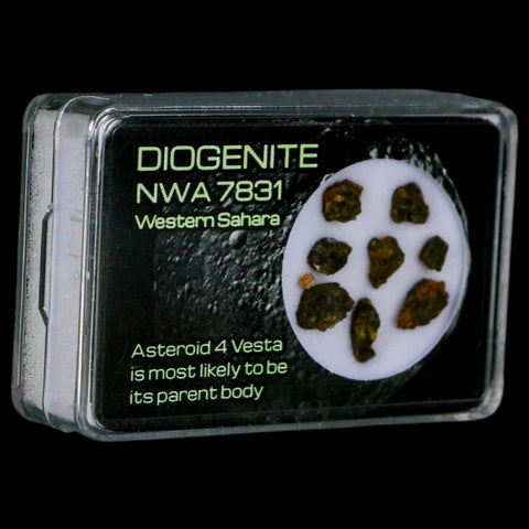 Diogenite Meteorites Asteroid 4 Vesta Specimen NMW 7831 Western Sahara Display - Fossil Age Minerals