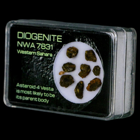 Diogenite Meteorites Asteroid 4 Vesta Specimen NMW 7831 Western Sahara Display - Fossil Age Minerals