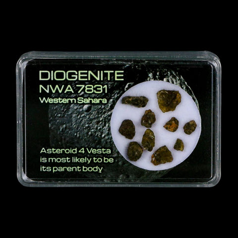 Diogenite Meteorites Asteroid 4 Vesta Specimen NMW 7831 Western Sahara Display - Fossil Age Minerals