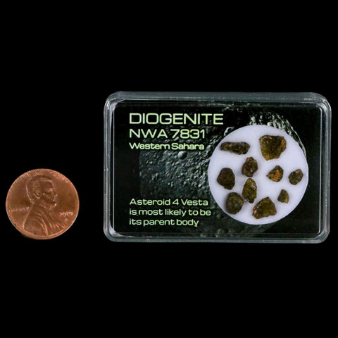 Diogenite Meteorites Asteroid 4 Vesta Specimen NMW 7831 Western Sahara Display - Fossil Age Minerals