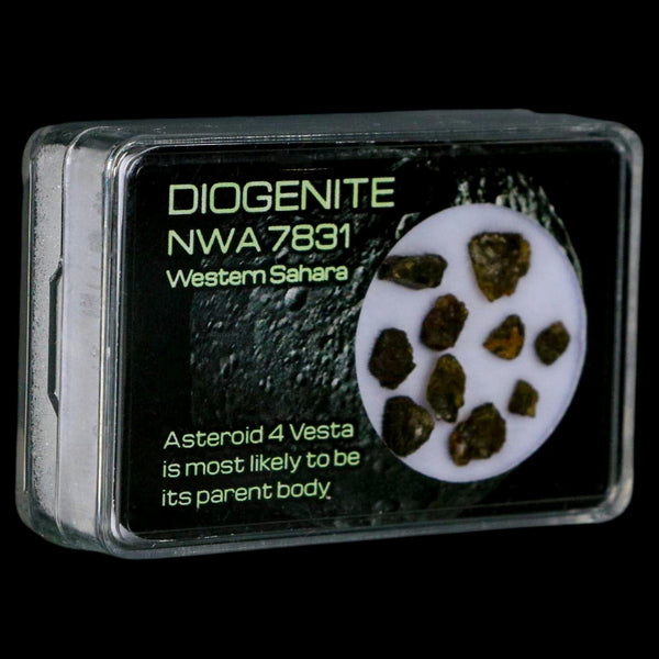 Diogenite Meteorites Asteroid 4 Vesta Specimen NMW 7831 Western Sahara Display