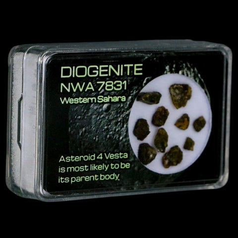 Diogenite Meteorites Asteroid 4 Vesta Specimen NMW 7831 Western Sahara Display - Fossil Age Minerals