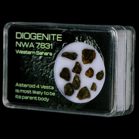 Diogenite Meteorites Asteroid 4 Vesta Specimen NMW 7831 Western Sahara Display - Fossil Age Minerals