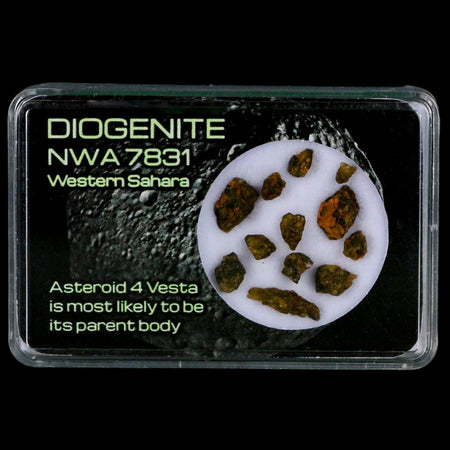 Diogenite Meteorites Asteroid 4 Vesta Specimen NMW 7831 Western Sahara Display