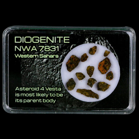 Diogenite Meteorites Asteroid 4 Vesta Specimen NMW 7831 Western Sahara Display - Fossil Age Minerals