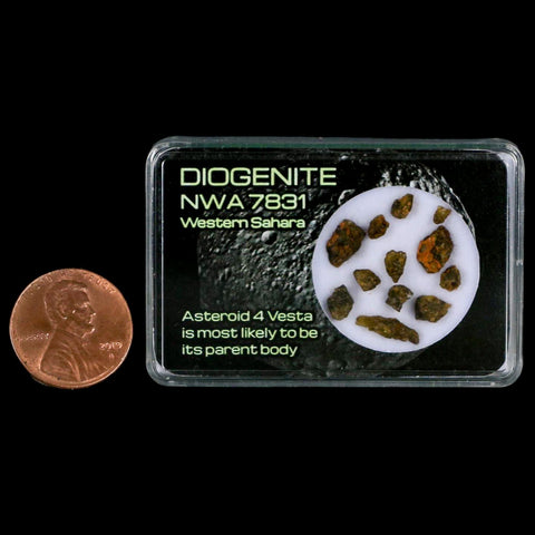 Diogenite Meteorites Asteroid 4 Vesta Specimen NMW 7831 Western Sahara Display - Fossil Age Minerals