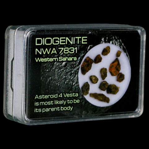 Diogenite Meteorites Asteroid 4 Vesta Specimen NMW 7831 Western Sahara Display - Fossil Age Minerals