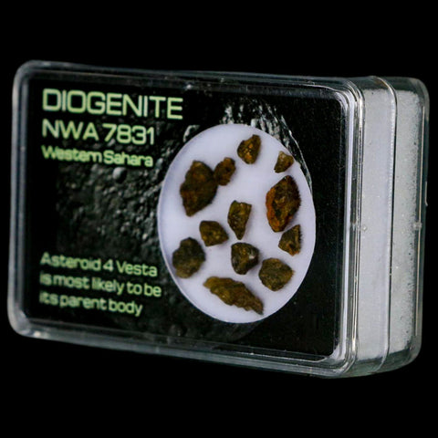 Diogenite Meteorites Asteroid 4 Vesta Specimen NMW 7831 Western Sahara Display - Fossil Age Minerals