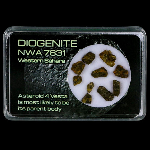 Diogenite Meteorites Asteroid 4 Vesta Specimen NMW 7831 Western Sahara Display - Fossil Age Minerals