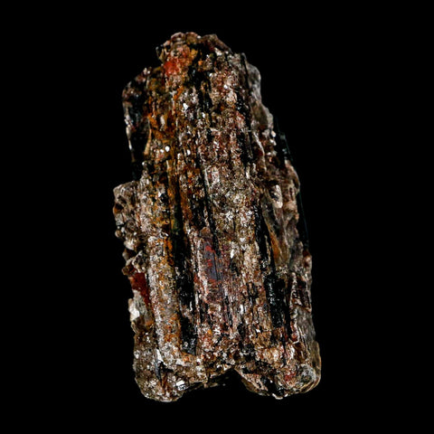 3.1" Natural Rough Black Tourmaline Mineral Crystal Specimen Schorl Brazil