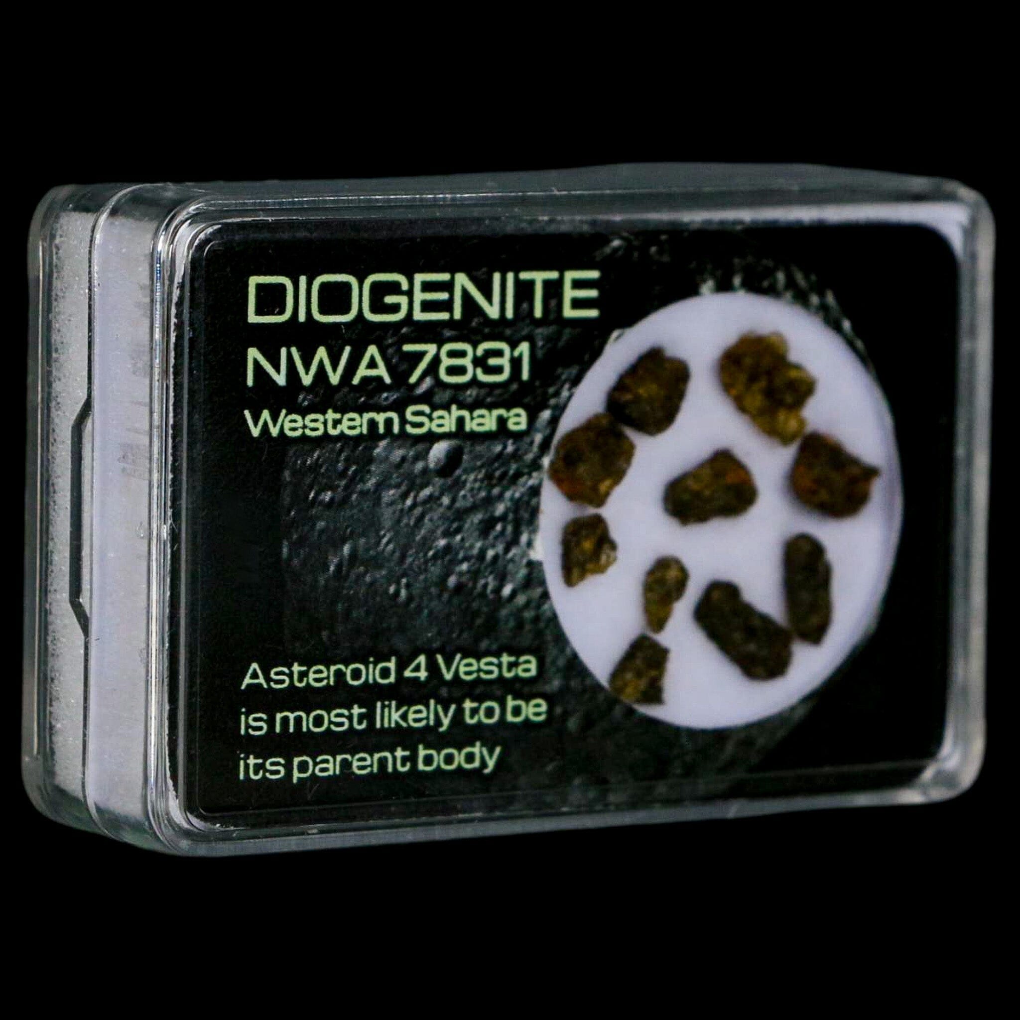 Diogenite Meteorites Asteroid 4 Vesta Specimen NMW 7831 Western Sahara Display - Fossil Age Minerals