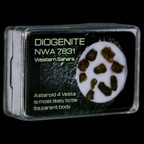 Diogenite Meteorites Asteroid 4 Vesta Specimen NMW 7831 Western Sahara Display - Fossil Age Minerals