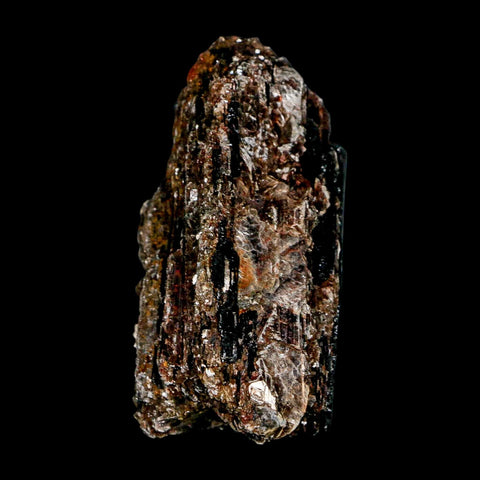 3.1" Natural Rough Black Tourmaline Mineral Crystal Specimen Schorl Brazil